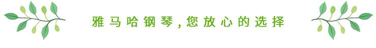 这才是真相：绿色关爱，狗万的环境政策