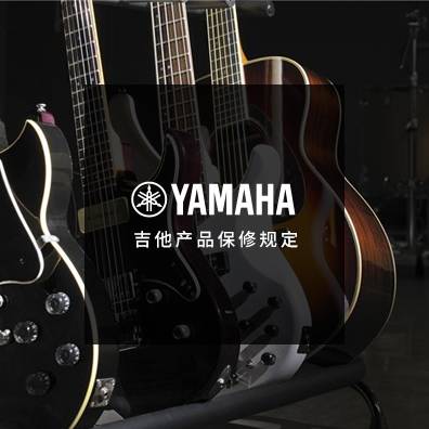 吉他、贝斯和音箱