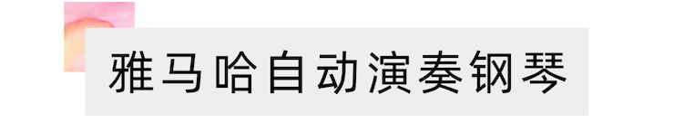 活动报道 | “科技助力，跨越时空”，小鹿纯子携手刘明康共享中日音乐盛宴