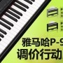 狗万P-95数码钢琴，调价行动即日展开 